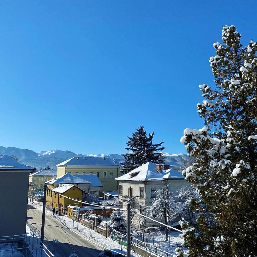 Tanin House - Three-Bedroom Apartment, Sauna And Gym 10' Away From Borovets Samokov Eksteriør billede